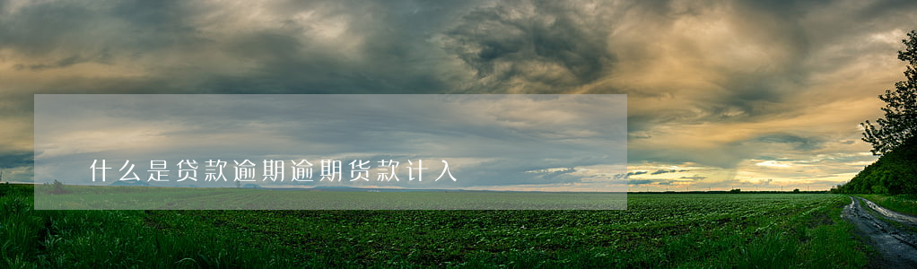 什么是贷款逾期（逾期货款计入）