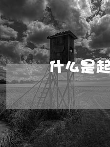 什么是起訴繼承(繼承人直接作為原告起訴)