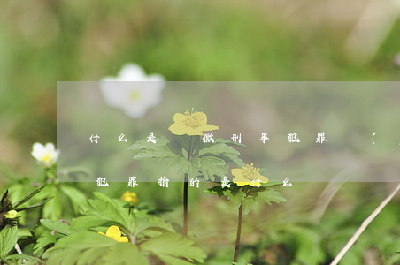 什么是輕微刑事犯罪(嚴(yán)重的刑事犯罪指的是什么)