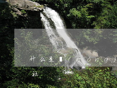 什么是農(nóng)民專業(yè)合作社
