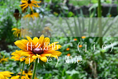 什么是近親結(jié)婚(什么是近親結(jié)婚范圍)