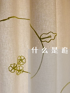 什么是追訴時效？