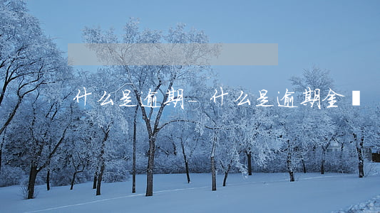 什么是逾期-什么是逾期金額