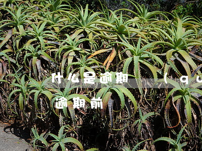 什么是逾期債權(quán)（債務(wù)逾期前）