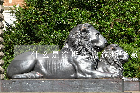 什么是逾期本息(逾期貸款本息是什么意思)