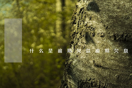 什么是逾期欠款(逾期欠息是什么意思)