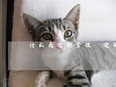 什么是逾期管理費 逾期多久要收逾期費