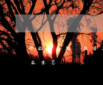 什么是逾期貸款剪刀差(逾期不良剪刀差是什么意思)