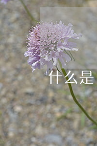 什么是違章建筑(什么是違章建筑?)