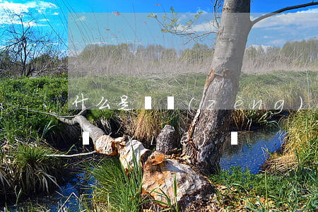 什么是遺贈(zèng)扶養(yǎng)協(xié)議 ?