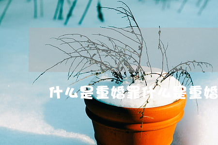 什么是重婚罪(什么是重婚罪 重婚的形式有幾種)