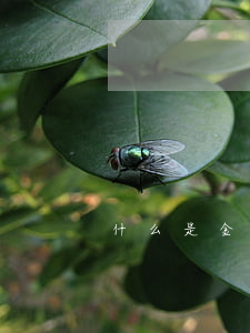 什么是金融合同糾紛
