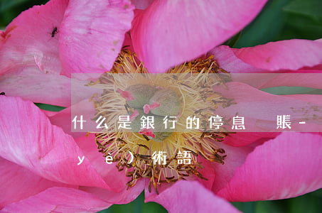什么是銀行的停息掛賬-停息掛賬的專業(yè)術語