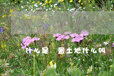 什么是閑置土地(什么叫閑置土地)