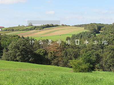 什么是非法繼承土地