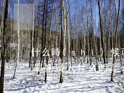 什么時(shí)候可以請律師(公訴案件犯罪嫌疑人什么時(shí)候可以請律師)