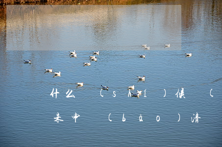 什么時(shí)候會(huì)生成逾期未申報(bào)清冊(cè)-什么時(shí)候會(huì)生成逾期未申報(bào)清冊(cè)信息
