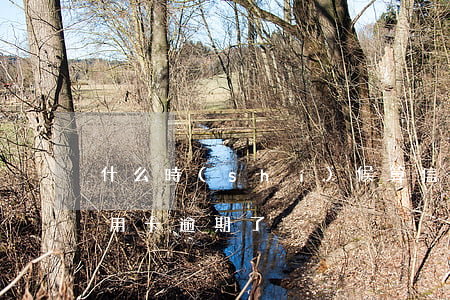什么時(shí)候算信用卡逾期(什么叫信用卡逾期了)