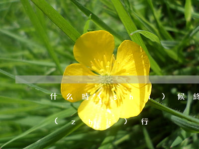 什么時(shí)候終結(jié)本次執(zhí)行
