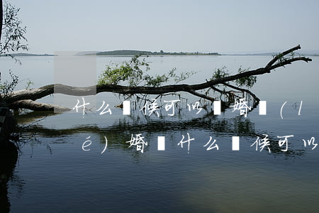 什么時候可以離婚(領(lǐng)結(jié)婚證什么時候可以離婚)