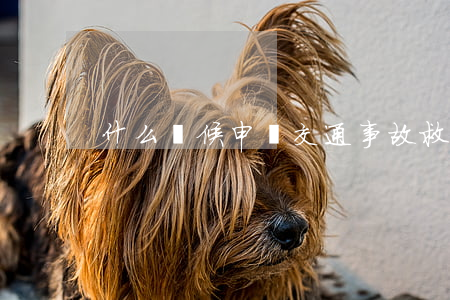 什么時候申請交通事故救助金