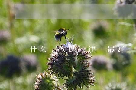 什么時候聘請律師最好(一般聘請律師多少錢)