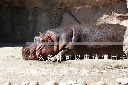 什么条件可以申请信用卡停息挂账-什么条件可以申请信用卡停息挂账呢