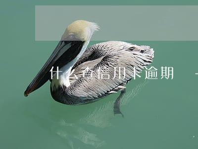 什么查信用卡逾期沒-什么查信用卡逾期沒
