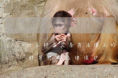 什么样子欠条有法律上的保护(现在的欠条怎样写才有法律保护)