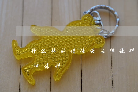 什么样的借条受法律保护(什么样的借条受法律保护)