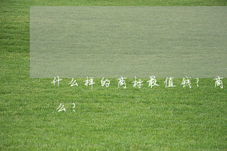 什么样的商标最值钱？商标投资需要注意什么？