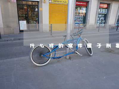 什么样的案件属于刑事案件