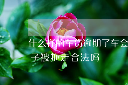 什么样的车贷逾期了车会被拖走(车贷逾期车子被拖走合法吗)