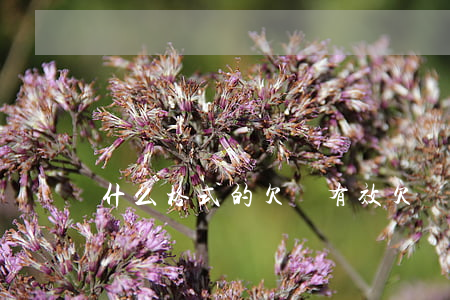 什么格式的欠條有效(欠條的格式怎么寫有效)