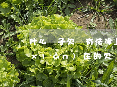 什么樣子欠條有法律上的保護(hù)(現(xiàn)在的欠條怎樣寫才有法律保護(hù))