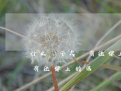 什么樣子欠條有法律上的保護(什么樣子欠條有法律上的保護)