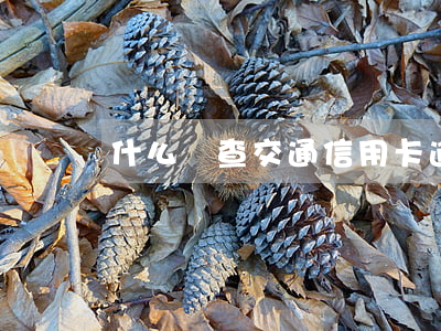 什么樣查交通信用卡逾期