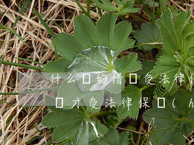 什么樣的借條受法律保護(hù)(怎么寫借條才受法律保護(hù)借條范本)