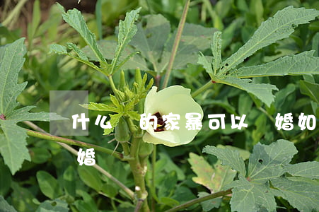 什么樣的家暴可以離婚(如果家暴可以直接離婚嗎)