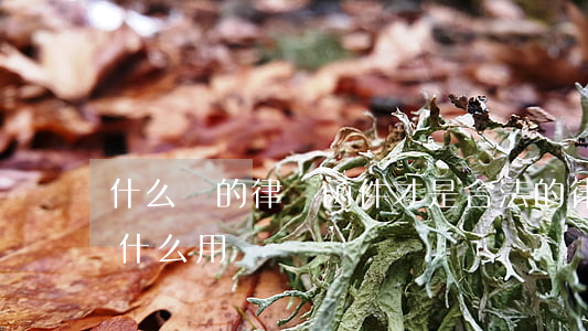 什么樣的律師函件才是合法的(律師函到底有什么用)