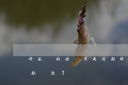 什么樣的情況算是逾期（什么情況算信用卡逾期還款了）