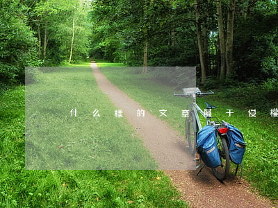 什么樣的文章屬于侵權(quán)