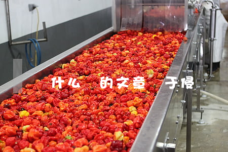 什么樣的文章屬于侵權