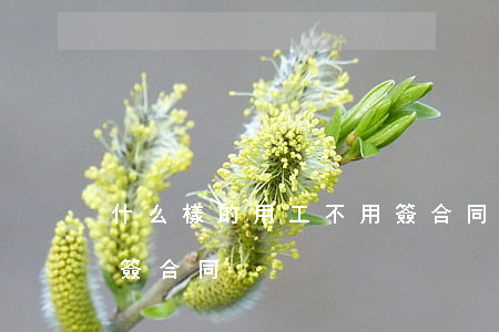 什么樣的用工不用簽合同(什么樣的用工不用簽合同)