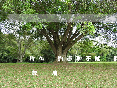 什么樣的逾期不能貸款(什么樣的逾期不能貸款買房)