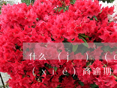 什么機(jī)構(gòu)可以和銀行協(xié)商逾期還款-銀行可不可以協(xié)商還款