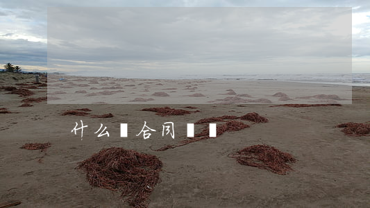 什么為合同糾紛