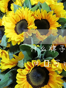 什么牌子的口紅可以分期免息-什么牌子的口紅可以分期免息