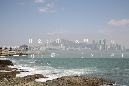 什么理由可以申請(qǐng)網(wǎng)商貸協(xié)商還款-網(wǎng)商貸協(xié)商還款申請(qǐng)書(shū)怎么寫(xiě)