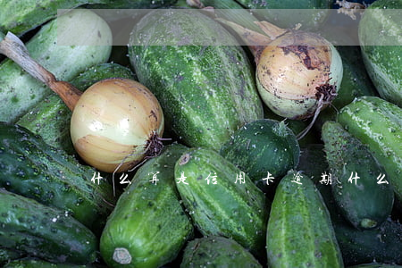 什么算是信用卡逾期 什么情況算信用卡逾期